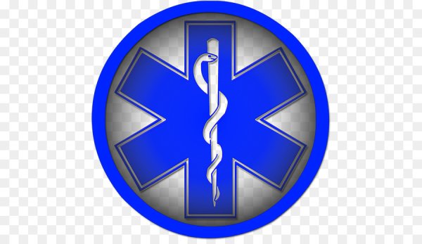 Путеводные звезды