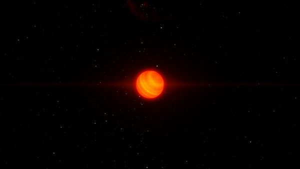 Звезда субкортчневые карлик