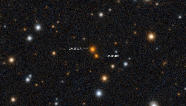 Коричневые карлики звезды