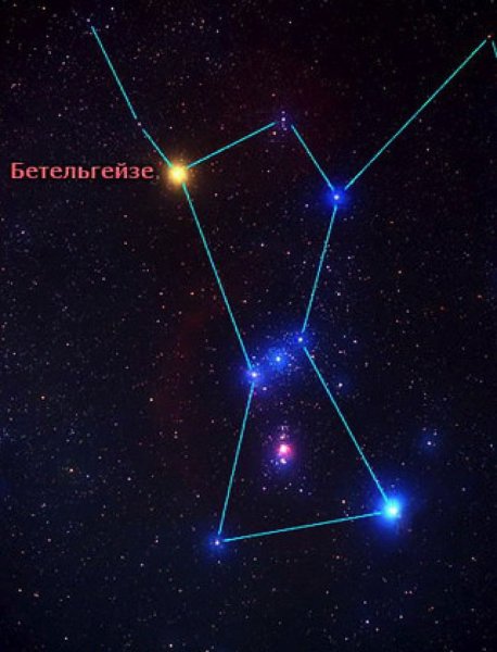 Малая Медведица название звезд