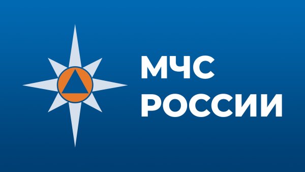 МЧС России EMERCOM эмблема