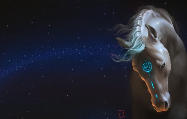 Star stable Дикие лошади Юрвика