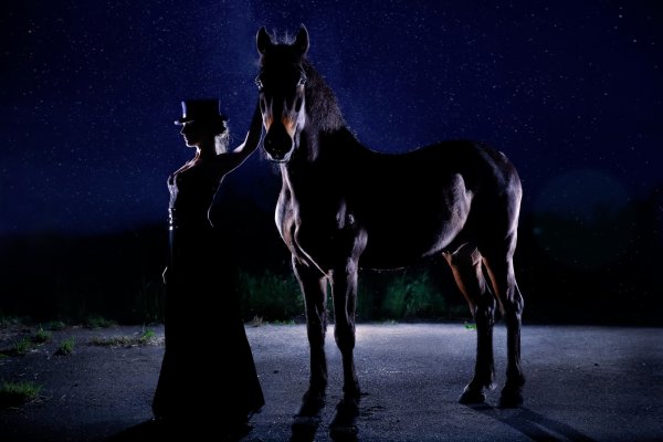 Фотохудожник Игорь Зенин лошади
