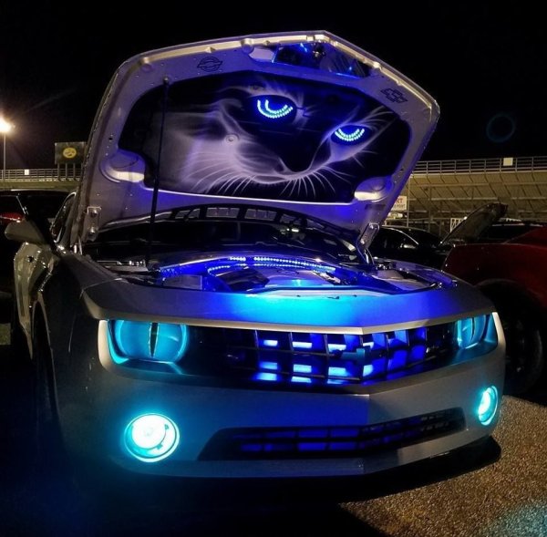 Эмблема Субару Форестер