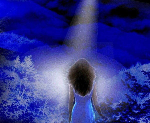 Группа звездочки