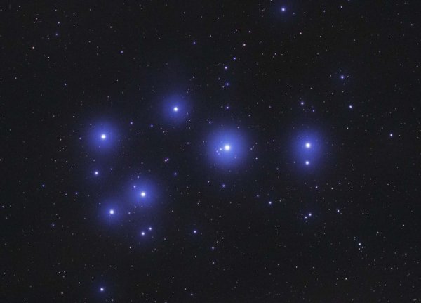 Плеяда звезд