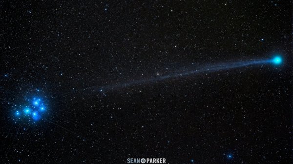 Звезда из пяти