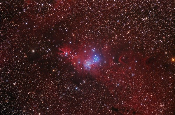 Звезда Nova Persei