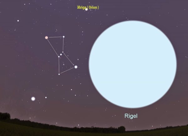 Презентация о звезде ригель