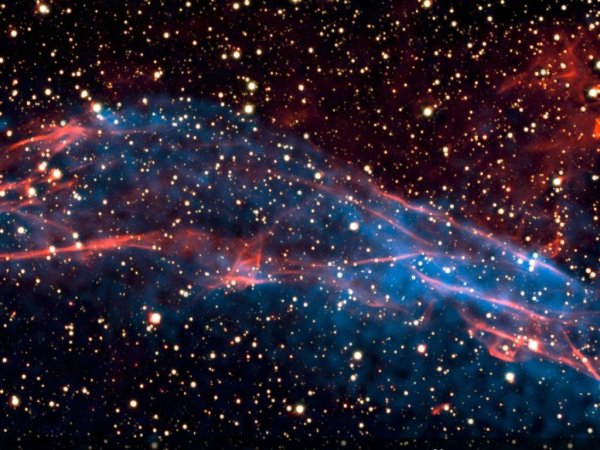 NGC 6231
