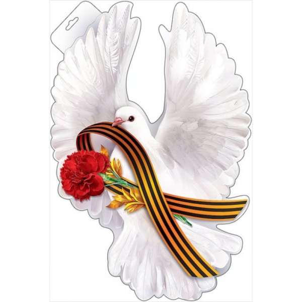 Голубь символ свободы и мира