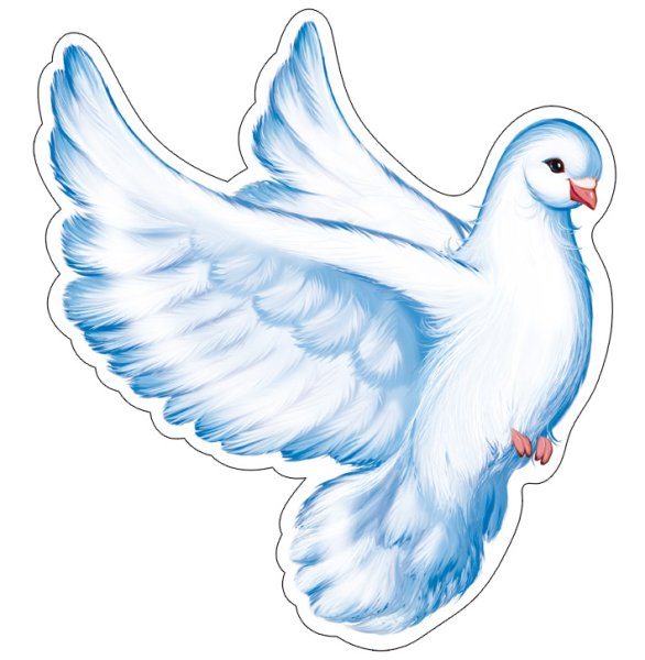 Рисунок голубя для срисовки