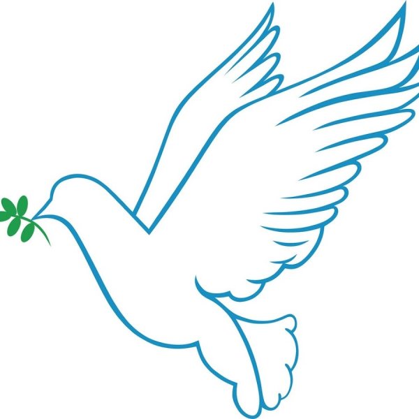 Голубь с георгиевской лентой