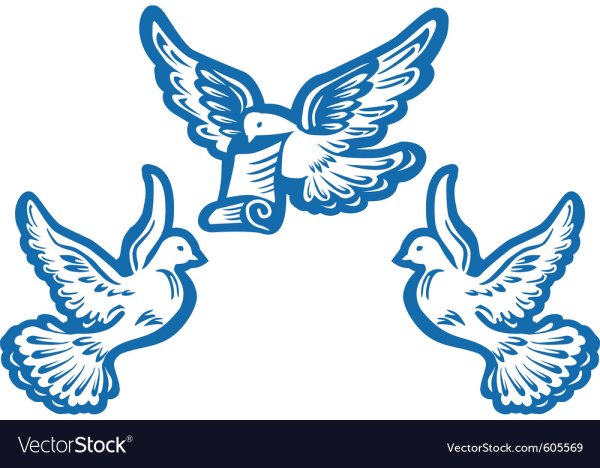 Голуби печать