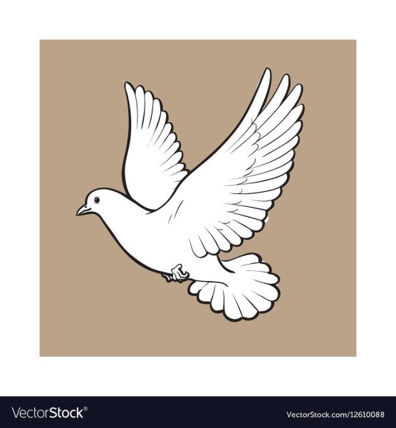 Голубь символ мира