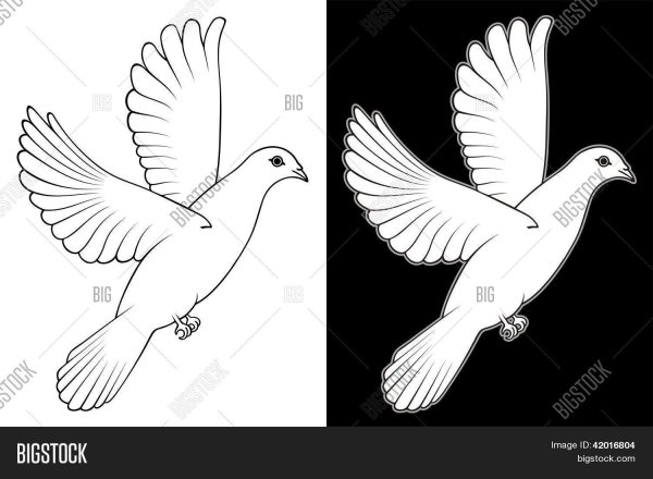Голубь мира эскиз
