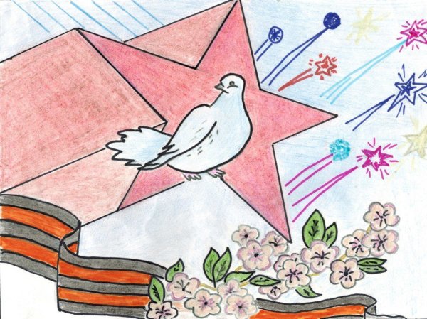 Голубь очертание