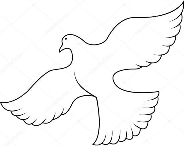 Голубь с оливковой ветвью в клюве