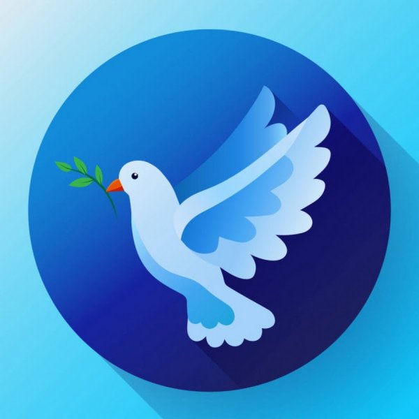 Летящий голубь рисунок