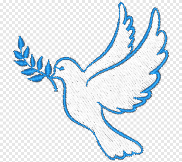 Голубь силуэт на прозрачном фоне