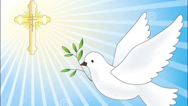 Веточка голубю мира контур