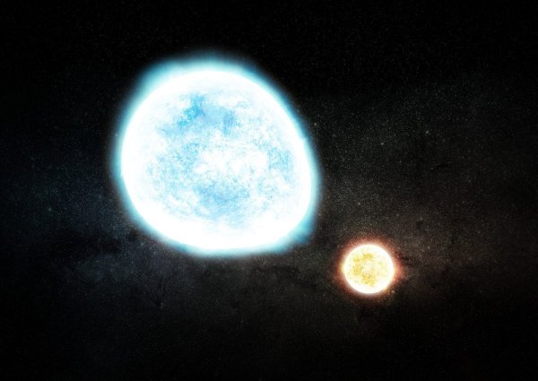 Белый карлик Койпера звезда