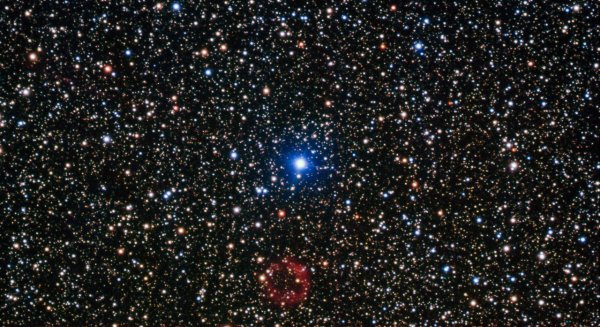 Звезда Барнарда b