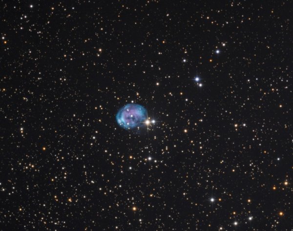 Звезда Проксима Центавра