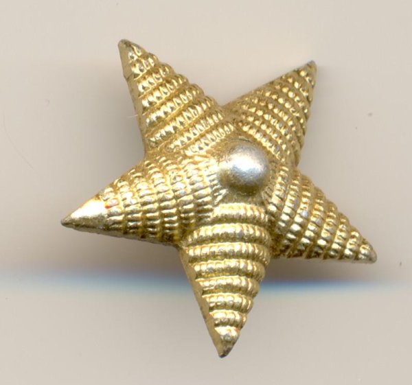 Звезда Генеральская на погоне