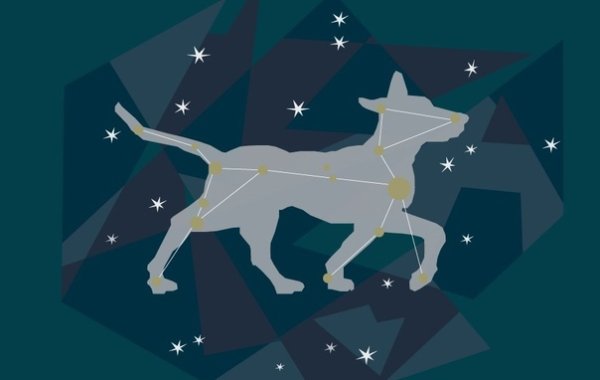 Созвездие большой пес для детей