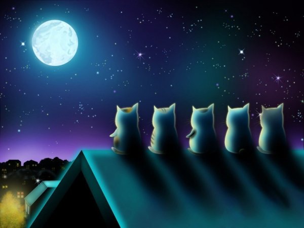 Сказочное звездное небо