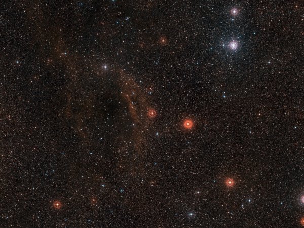 Canis Minor Созвездие