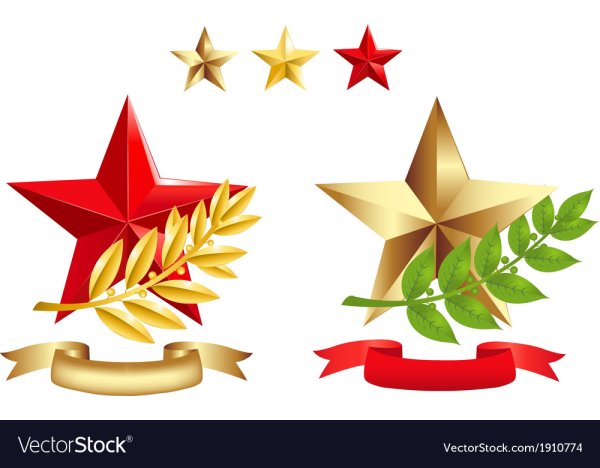 Звезда с веточкой