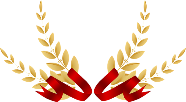 Звезда 23 февраля