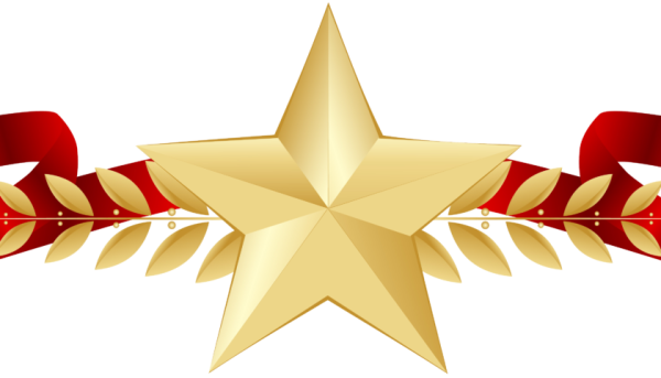 Рождественские веточки