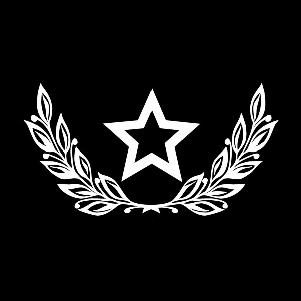 Новогодняя звезда