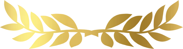 Звезда с георгиевской лентой