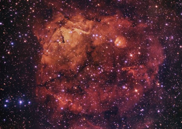 Роберт-Дауни младший кривляется