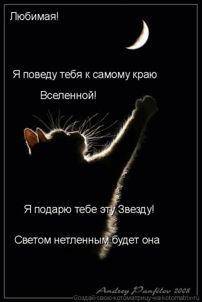 Что тебе подарить стихи