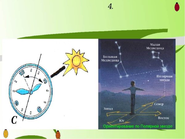 Ориентировка по небесным светилам