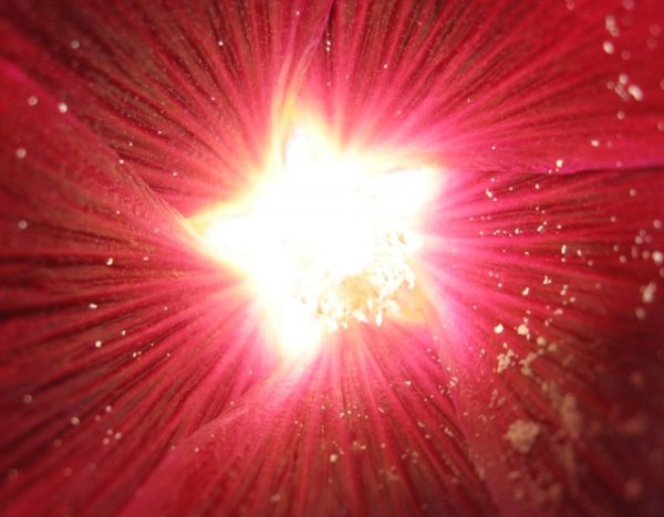 Ярко сияющая красная звезда