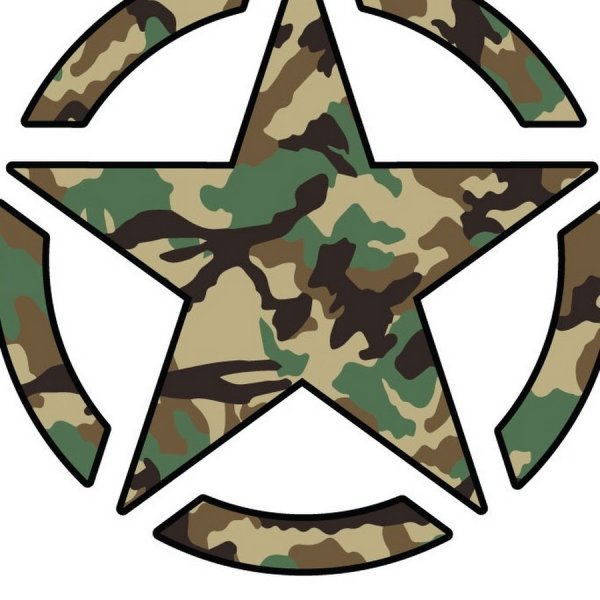 Звездочка защитного цвета