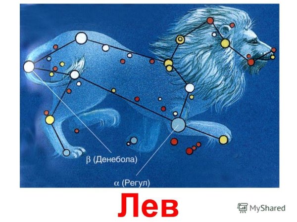 Зодиакальное Созвездие Лев