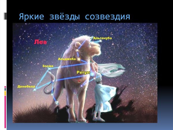 Звезда регул в созвездии Льва