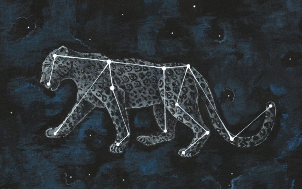 Созвездие Лев схема