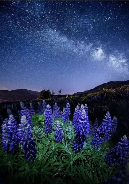 Снимки звезд