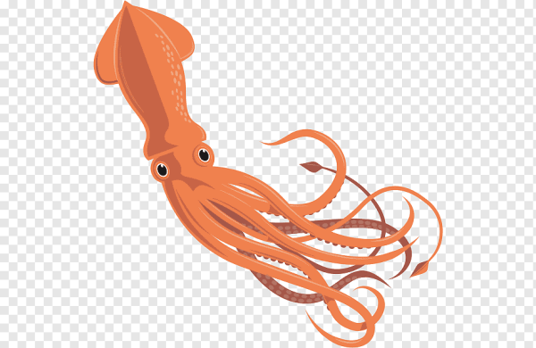 Морские животные тату