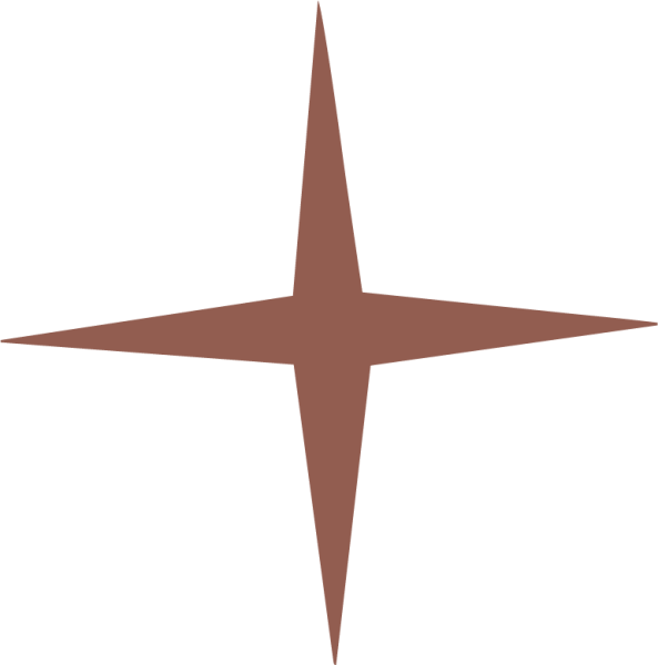 Звездочки белые