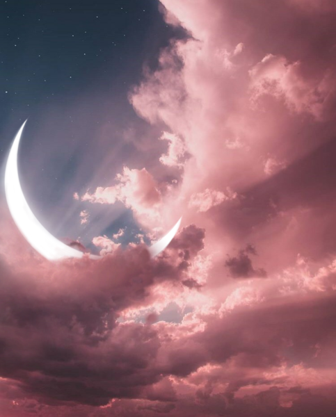 Звезды Эстетика