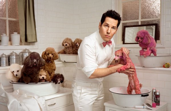 Мартина Шоллера